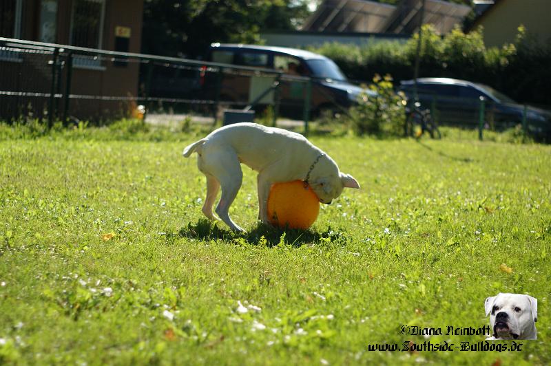 DSC02860.JPG