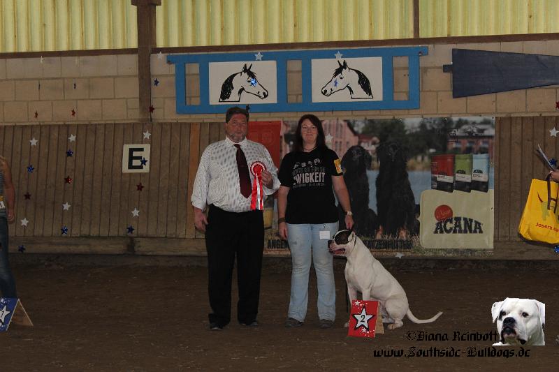 158.JPG - Southside Bulldogs Averett - Bully Male 2-4 years - judge Robert Lathsa