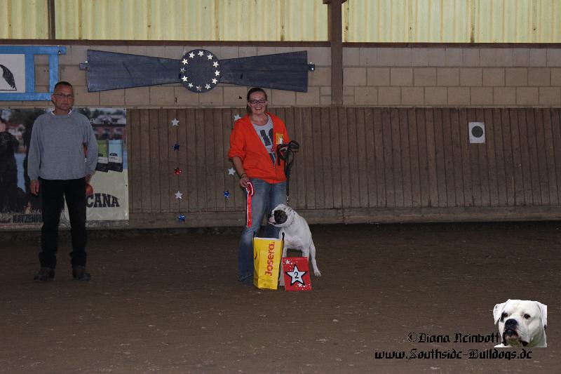 314.JPG - Southside Bulldogs Abina ownde by Stefanie Jarosch - Bully Female 2-4 years, judge Dirk Gerold