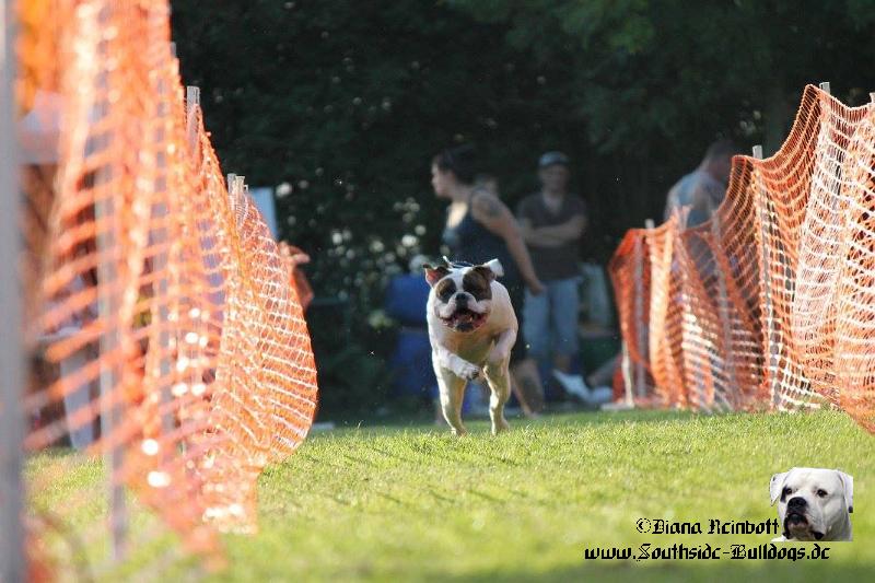 IMG_4875.JPG - Southside Bulldogs Averett / Top Dog Sprintrace